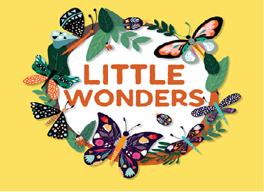 Little Wonders at Northpoint City